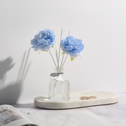 (6) REED DIFFUSER SPRING...